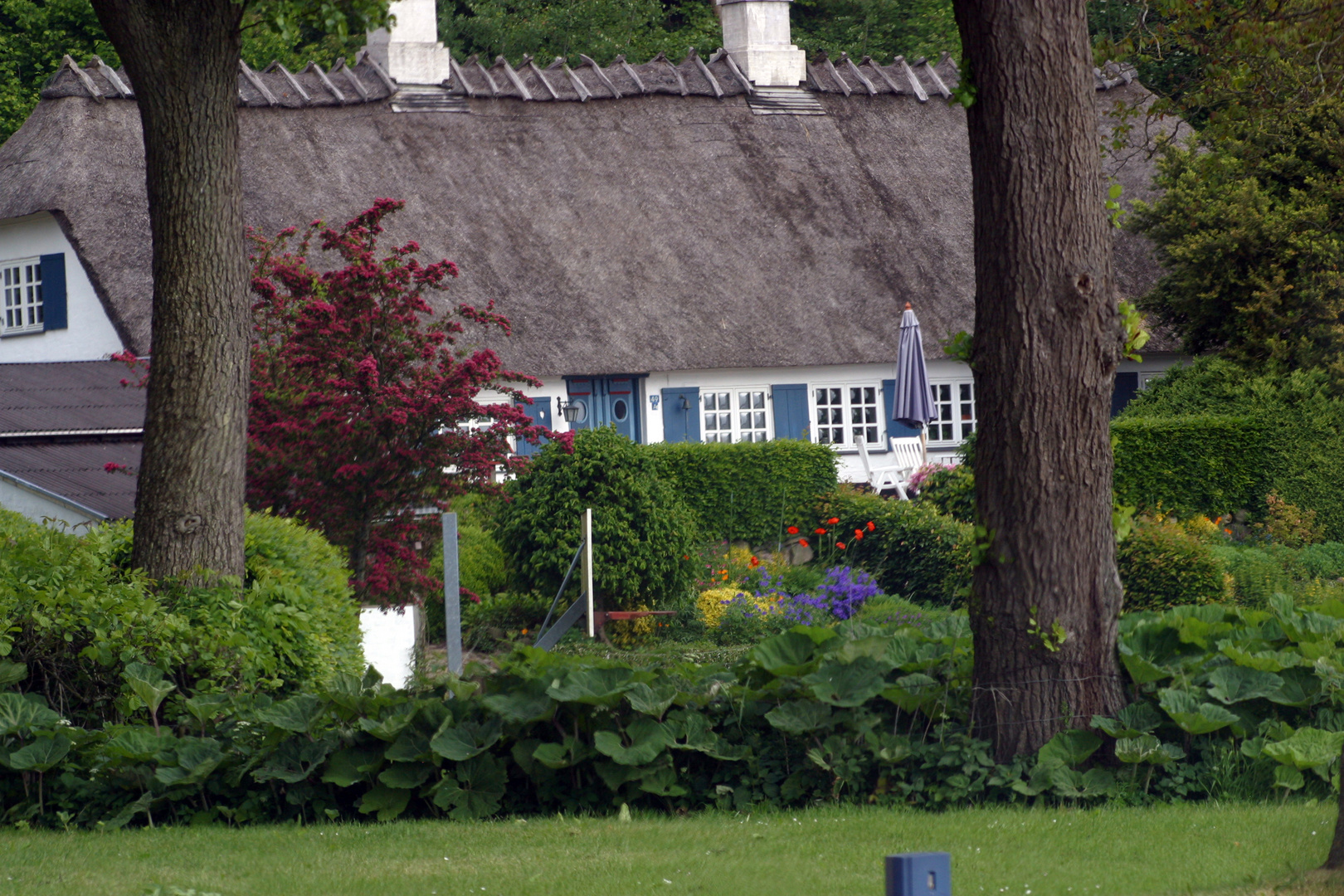 wunderschönes haus