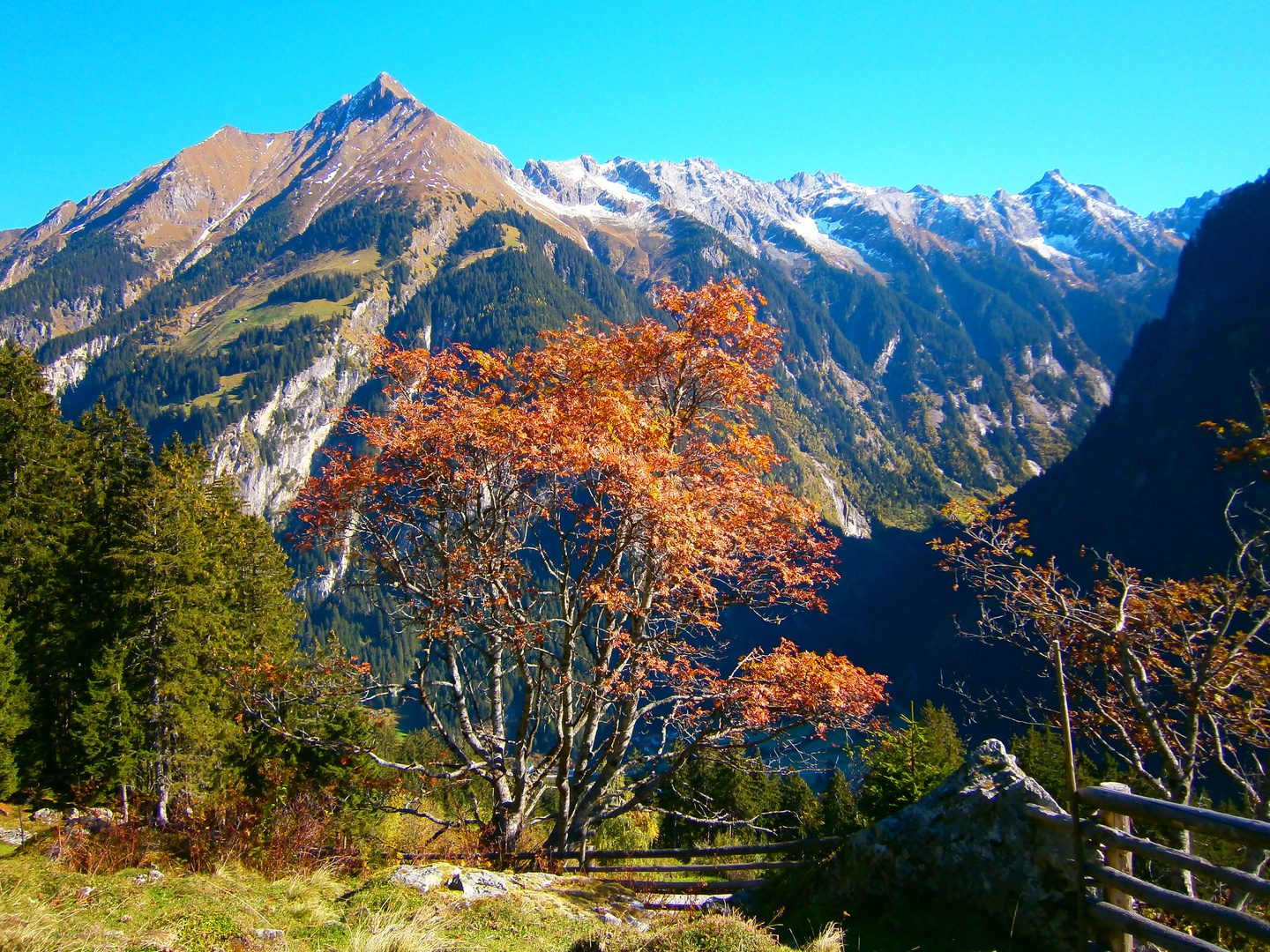 Wunderschönes Herbstbild