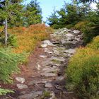 Wunderschönes Herbstwanderwetter