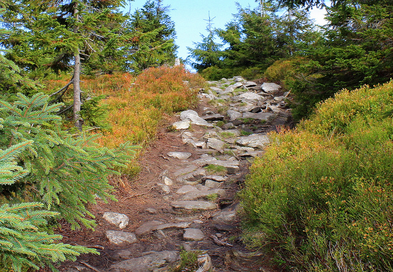 Wunderschönes Herbstwanderwetter