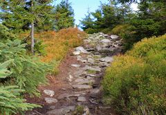 Wunderschönes Herbstwanderwetter