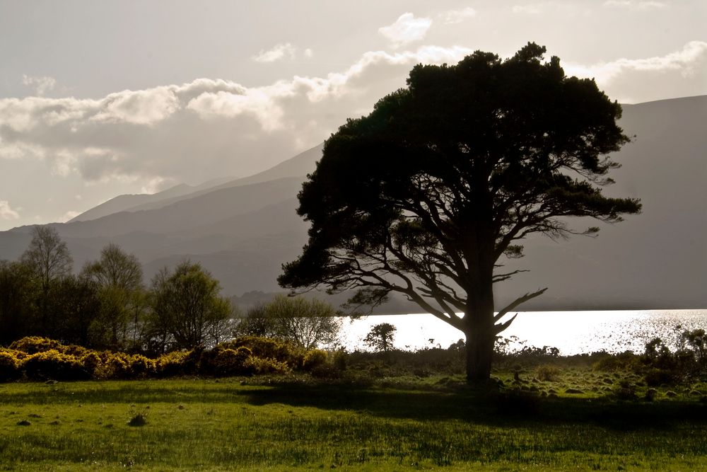 wunderschönes Irland II