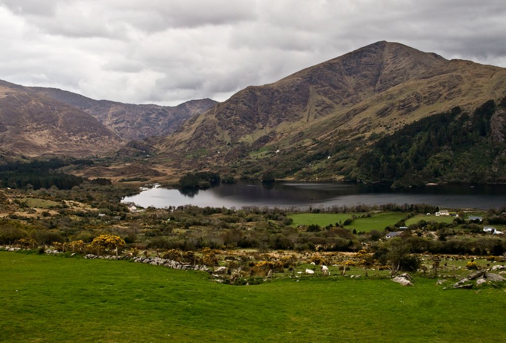 wunderschönes Irland IV