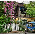 Wunderschönes Louang Prabang