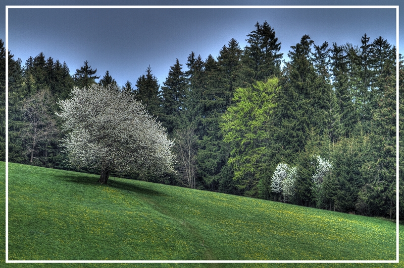 Wunderschönes Mühlviertel