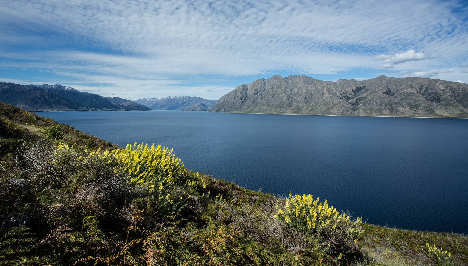 wunderschönes Neuseeland 