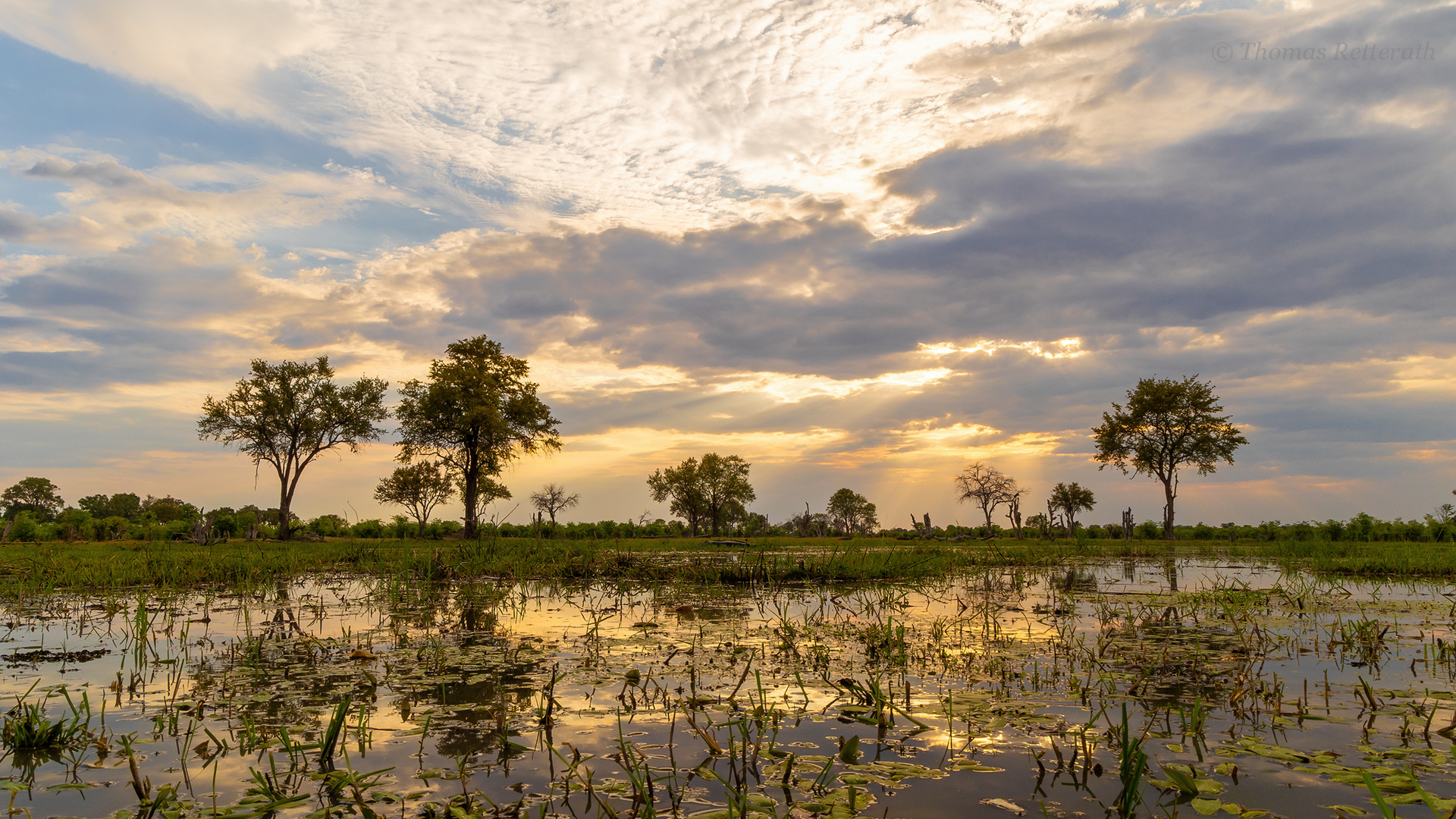 Wunderschönes Okavango Delta