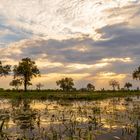 Wunderschönes Okavango Delta