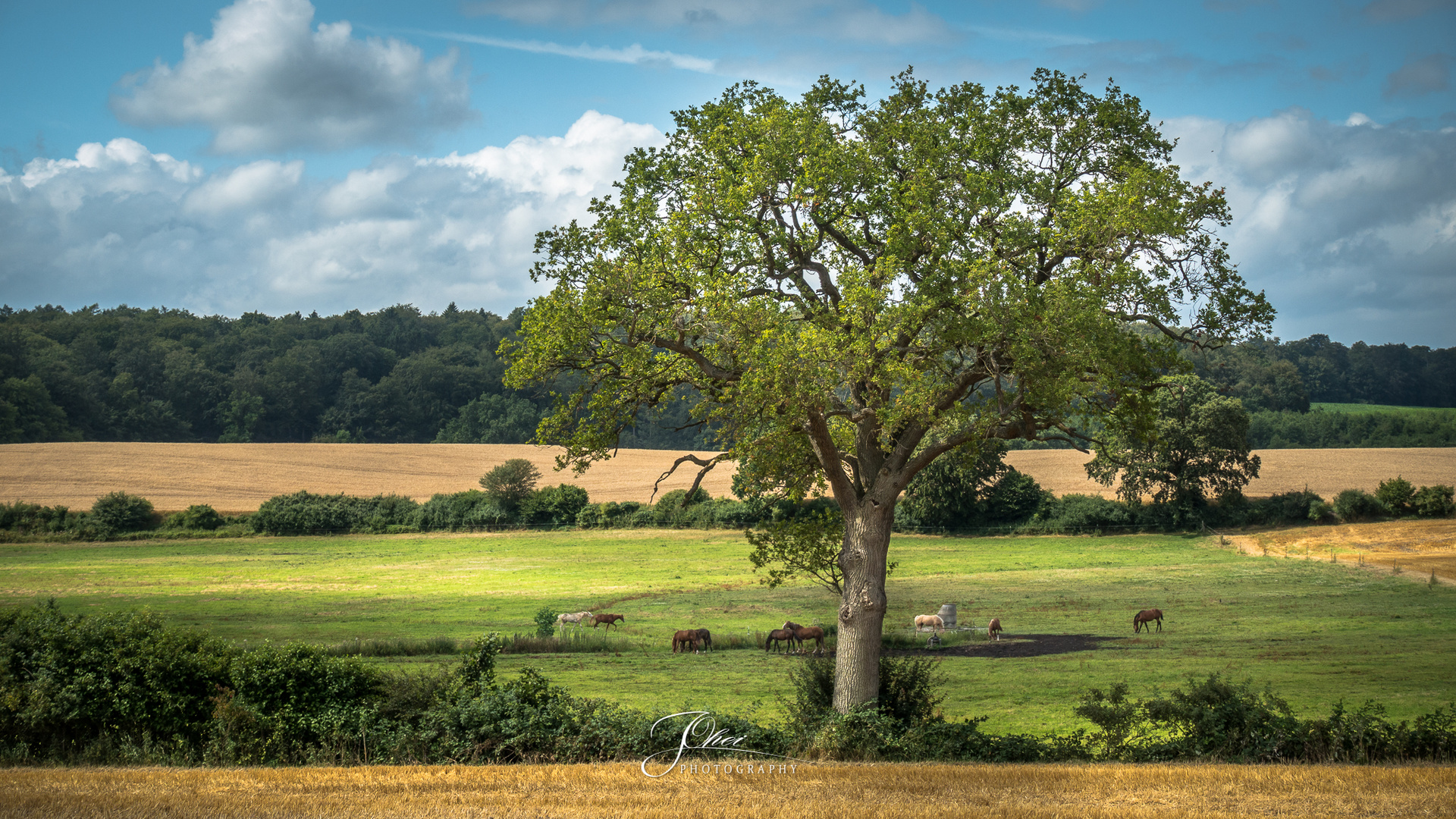 Wunderschönes Schleswig-Holstein