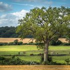 Wunderschönes Schleswig-Holstein