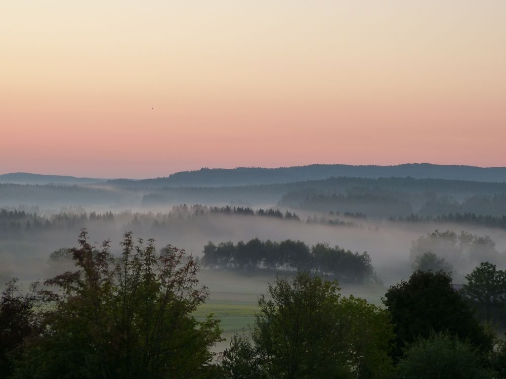 Wunderschönes Waldviertel 