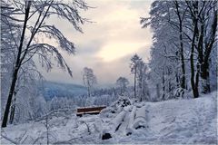 Wunderschönes Winterwetter ...