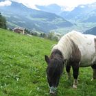 Wunderschönes Zillertal