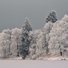 Wunderschönstes Winterwetter...