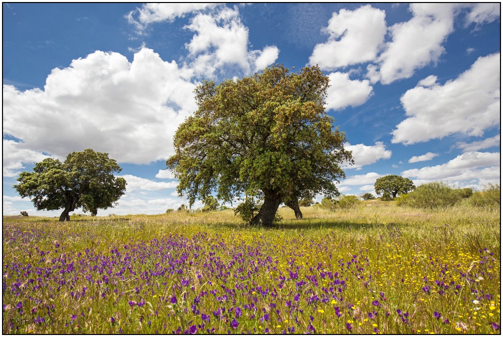 Wundervolle Extremadura