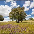 Wundervolle Extremadura