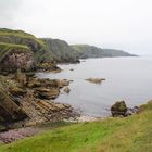 Wundervolle Küste am St. Abbs Head/Südosten von Schottland