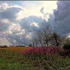 Wundervolle Rhön