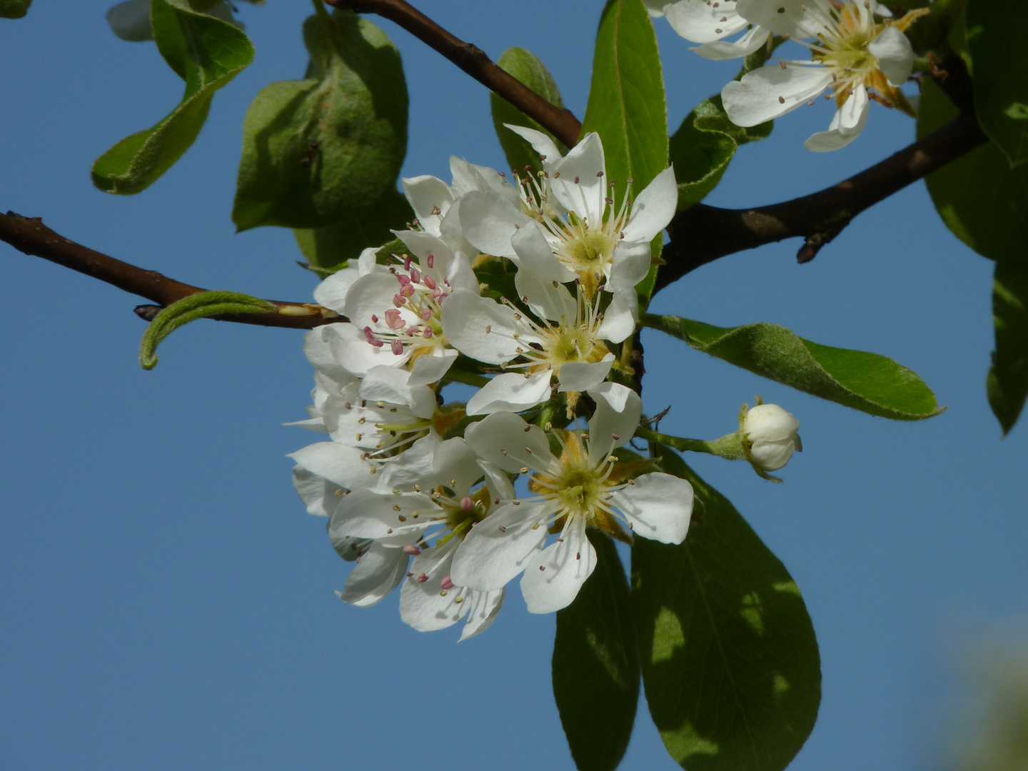 Wundervoller Frühling 18