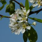 Wundervoller Frühling 18