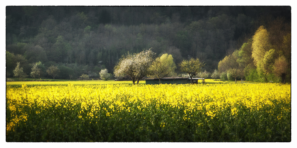 Wundervoller Frühling