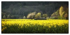 Wundervoller Frühling