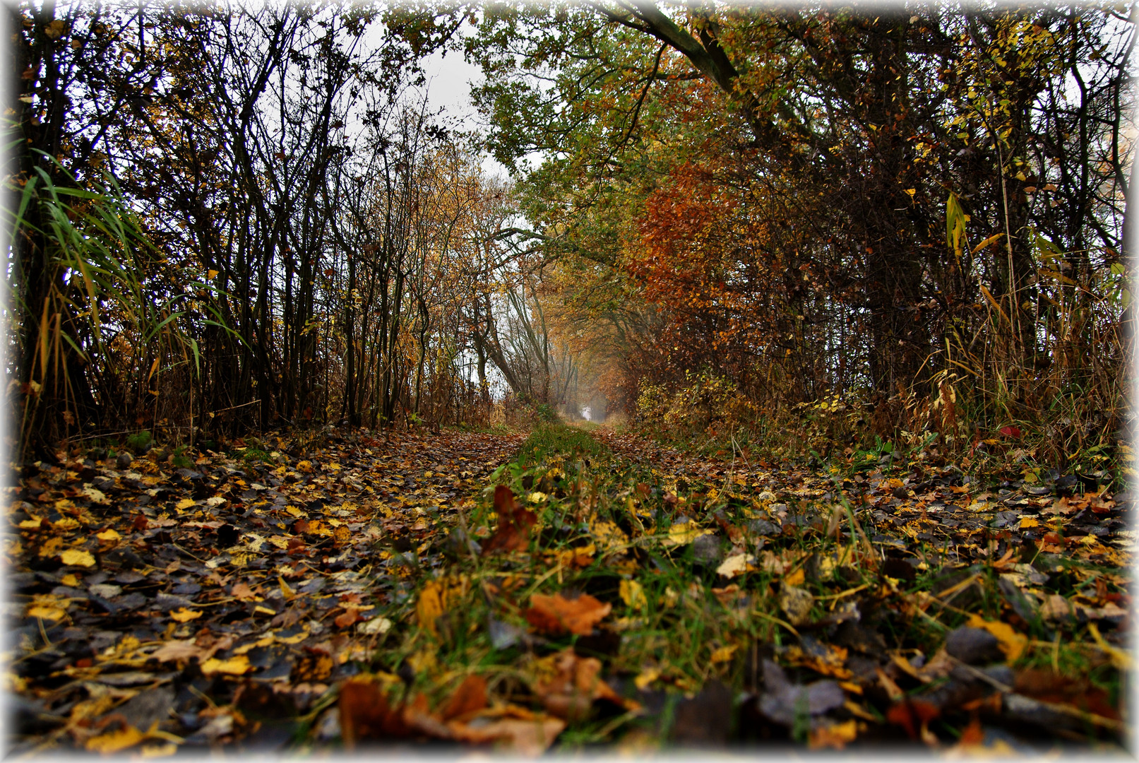 wundervoller Herbst