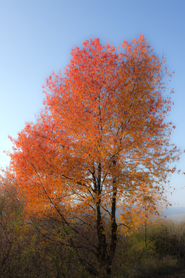 wundervoller Herbst