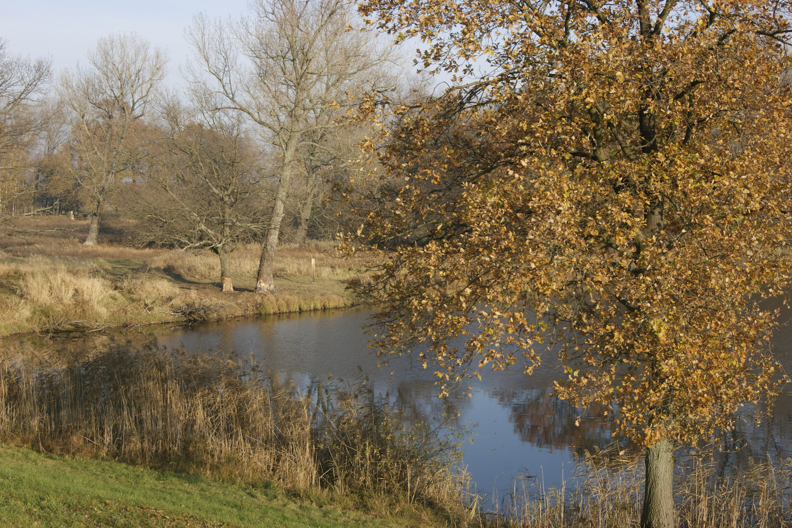 wundervoller Herbst