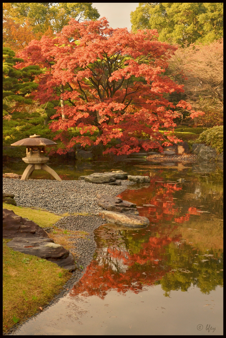 Wundervoller Herbst im Kaiserpalastgarten in Tokyo