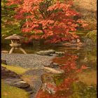 Wundervoller Herbst im Kaiserpalastgarten in Tokyo