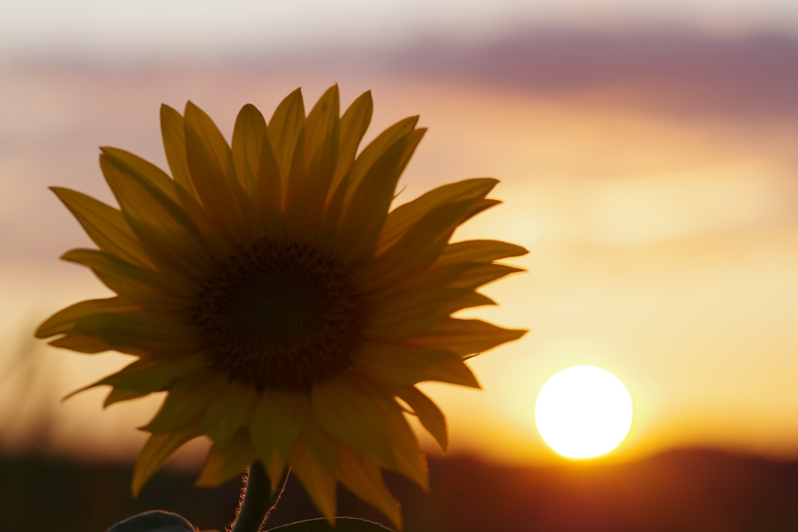 Wundervoller Sonnenuntergang