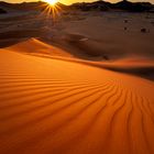 Wundervoller Wüstenmorgen