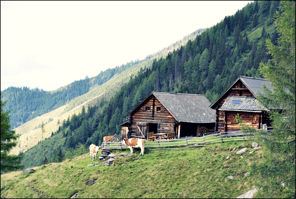 Wundervollste Heimat.