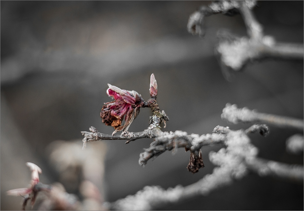 Wunderwerk Natur