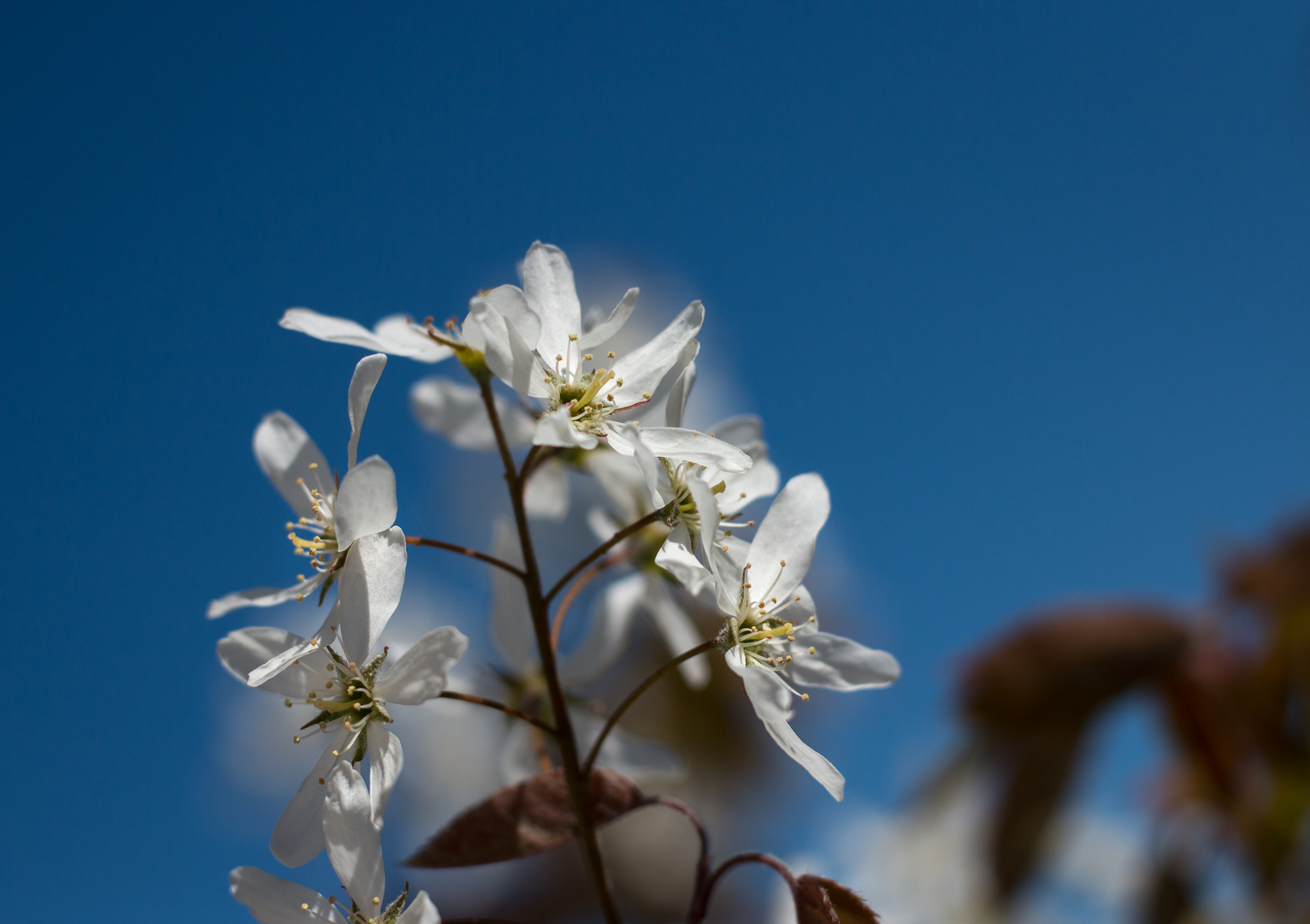 Wunderwerk Natur 7