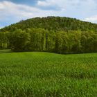 Wunnenstein in grün....