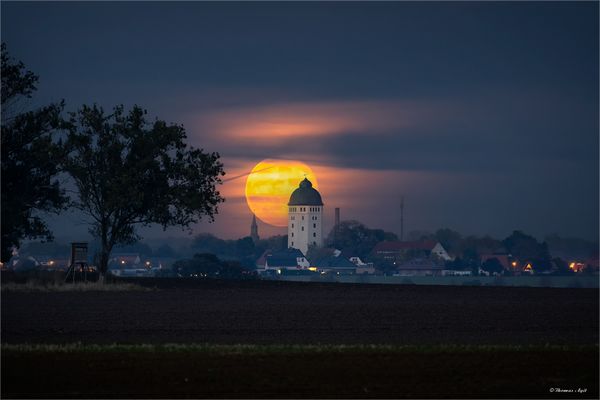 Wunsch und Wirklichkeit...
