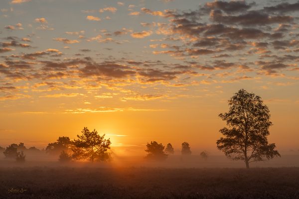 ... wunschlos glücklich ...