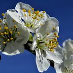 Wunschwetter für Ostern