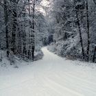 Wunschwetter für Weihnachten