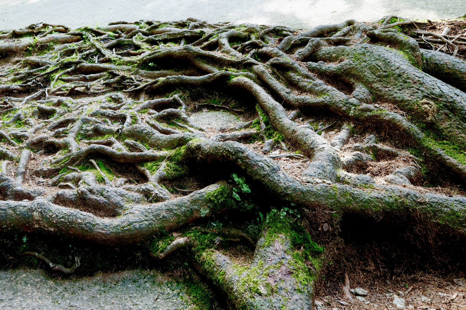 Wunsiedel /Felsenlabyrinth