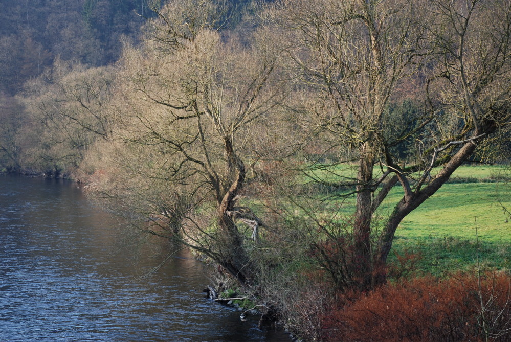 Wupper