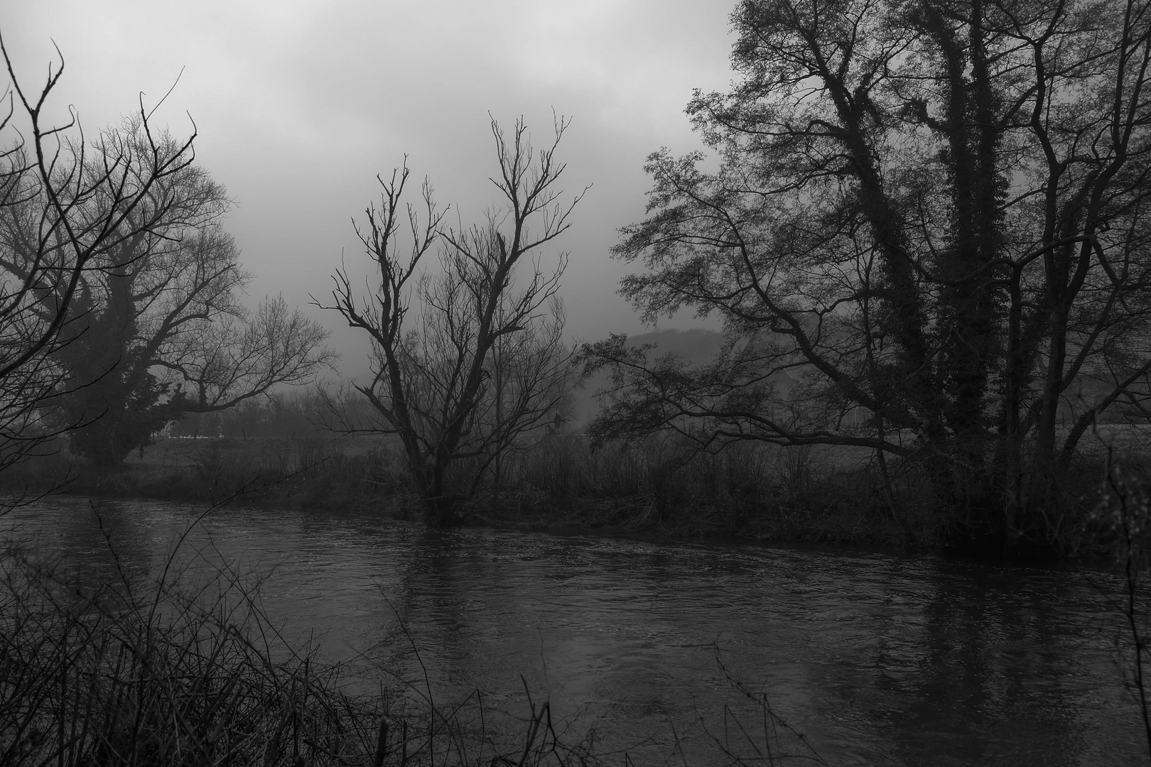 Wupper (bei Hasenmühle)