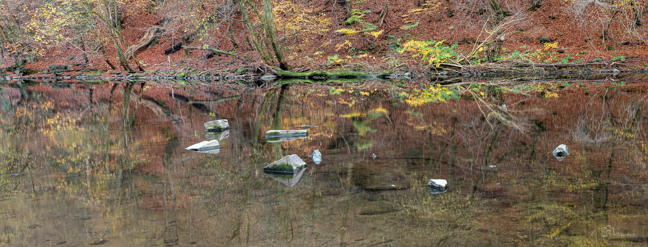 Wupper  bei Müngsten