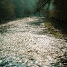 Wupper im Gegenlicht