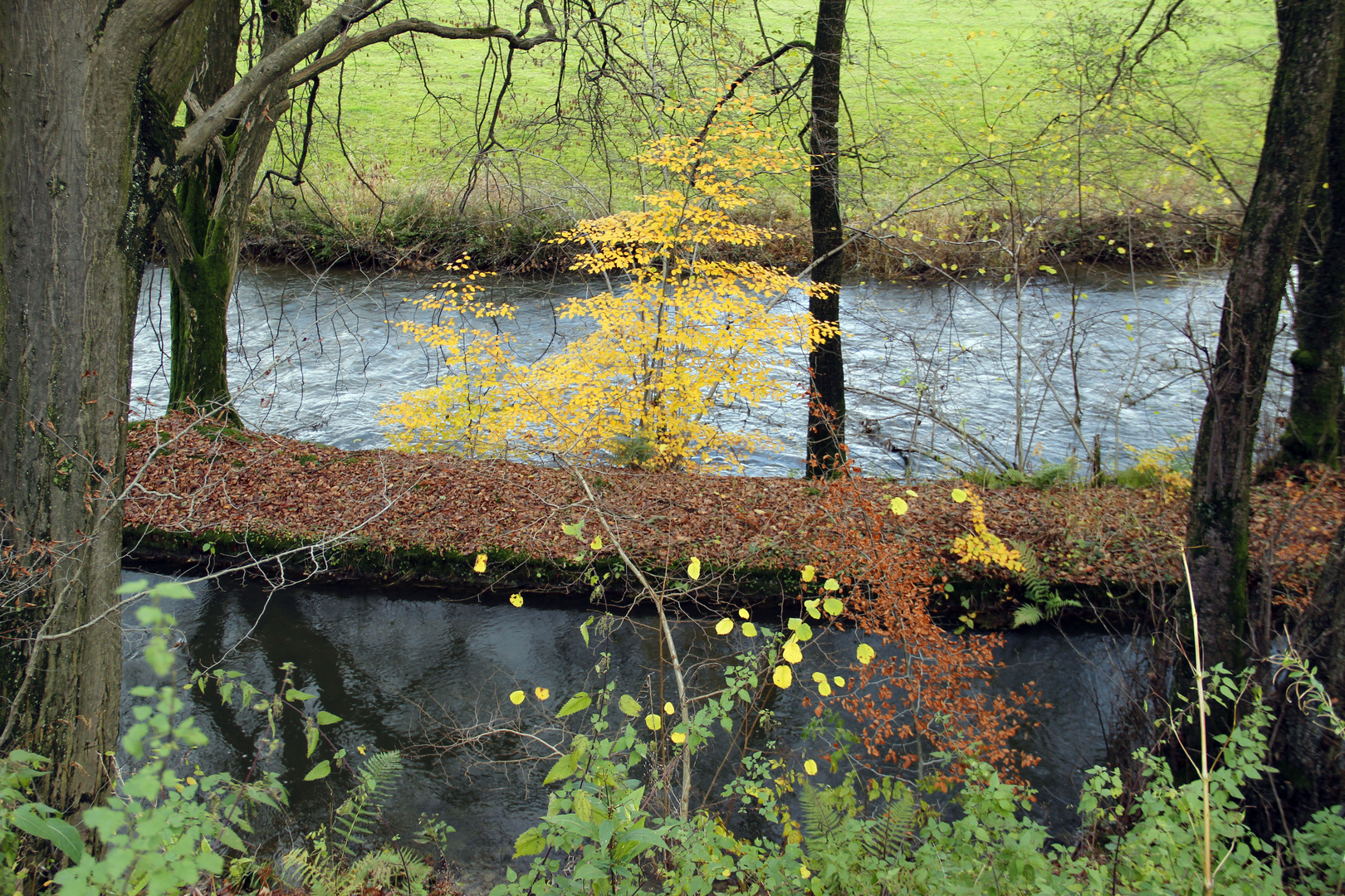 Wupper in Wipperfürth