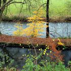 Wupper in Wipperfürth