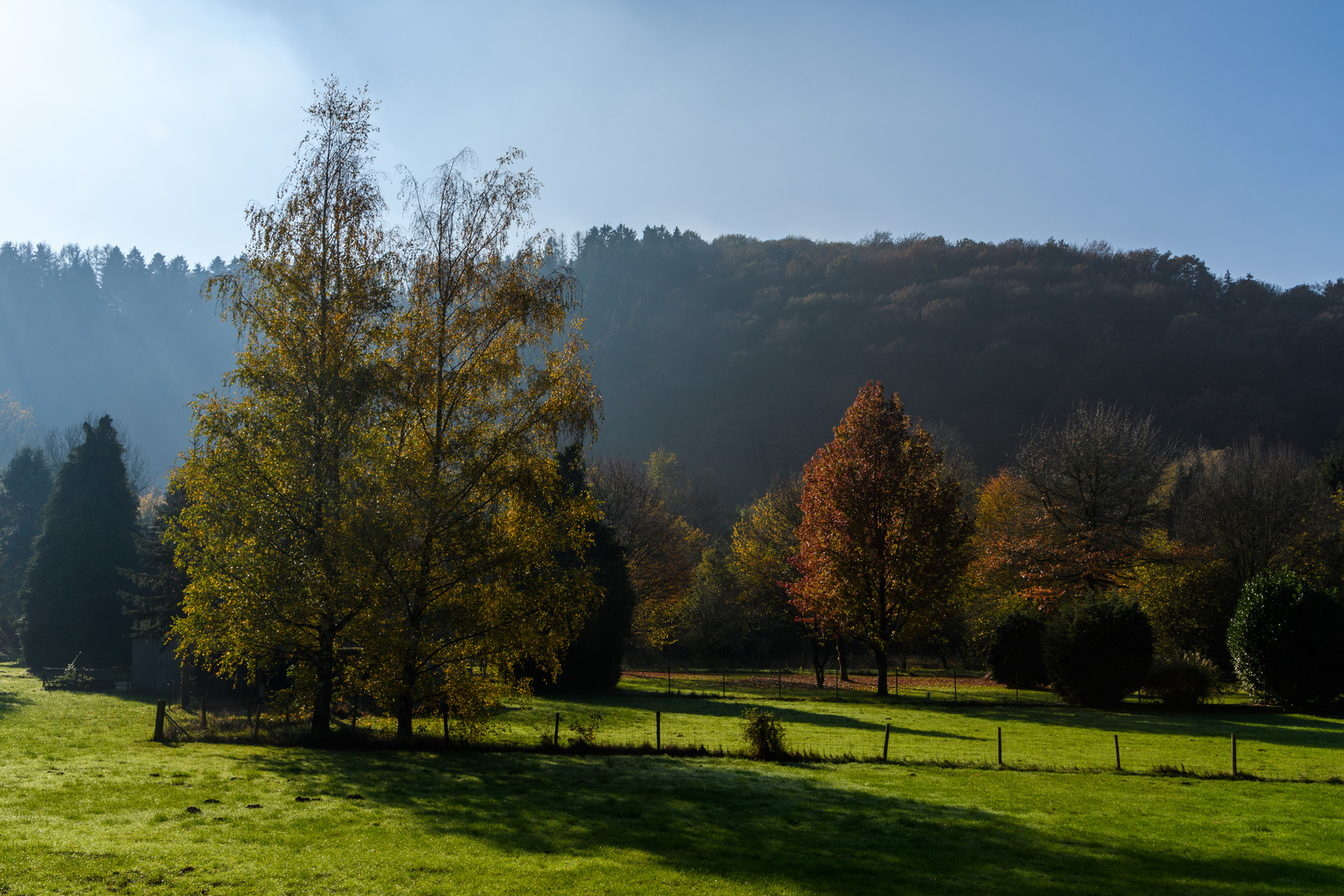 Wupperaue zwischen Rüden und Hasenmühle 