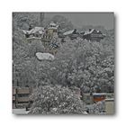 Wuppertal als Winterwunderland